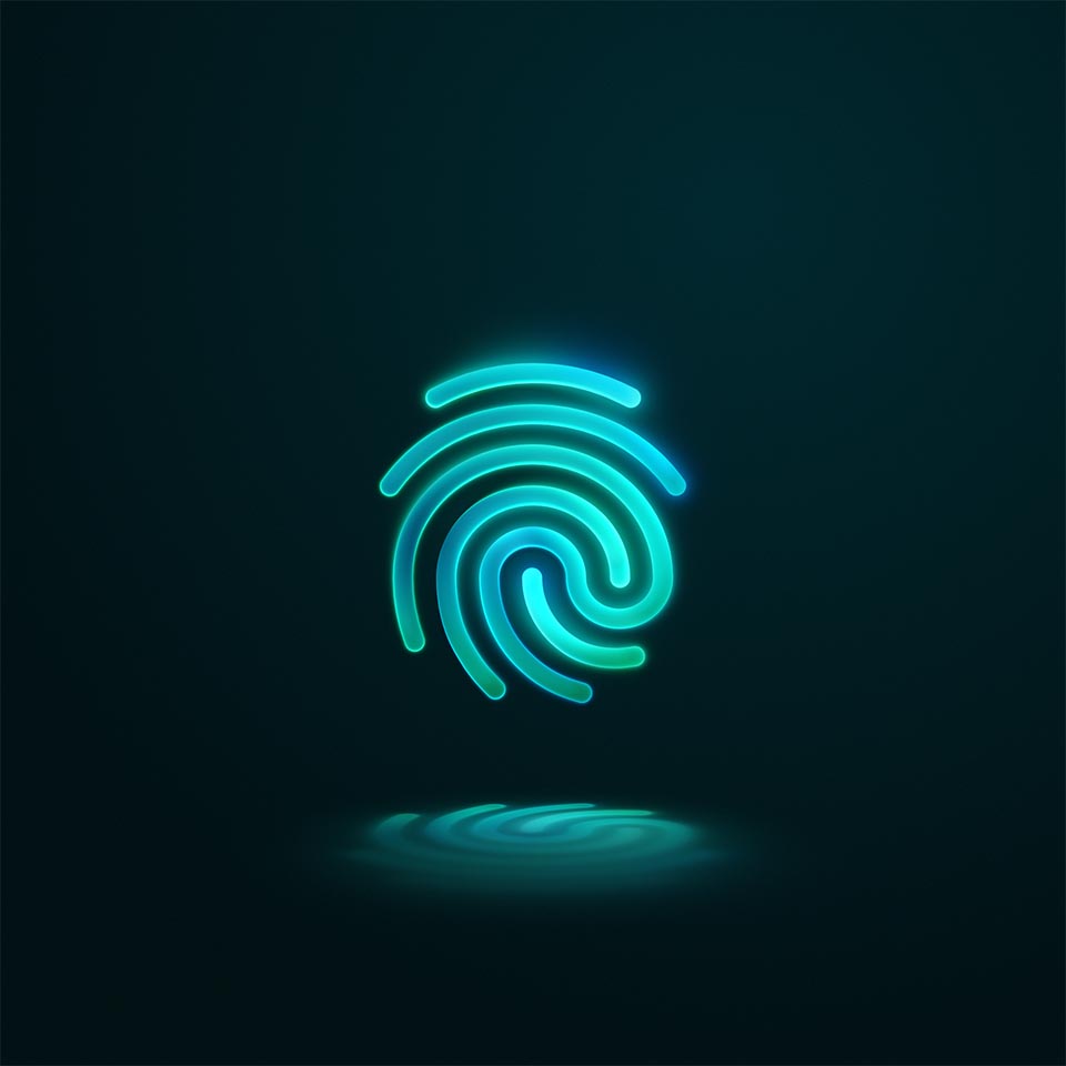 Project media